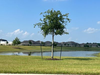 Sterling Point at Baytown Crossings: Wildflower II Collection by Lennar in Baytown - photo 5 5