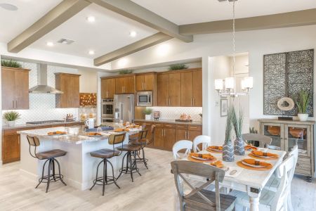 Bellero Estates by Elliott Homes in Queen Creek - photo 43 43