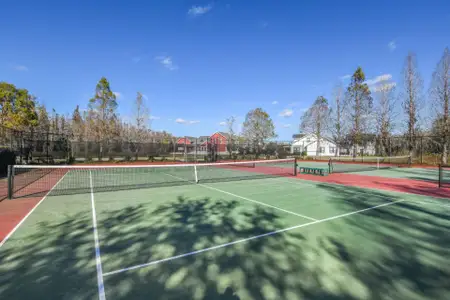 Hawk Longleaf by Homes by WestBay in New Port Richey - image