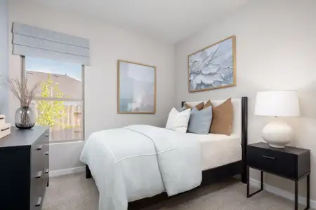 Creekhaven by Coventry Homes in Rosharon - image 10