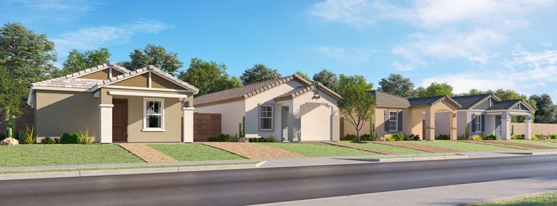 Anderson Farms: Dream 1