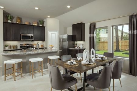 The Meadows at Imperial Oaks 40' - Section 20 by Coventry Homes in Conroe - photo 25 25