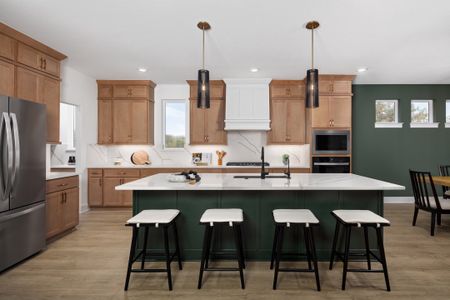 Headwaters 80' by Coventry Homes in Dripping Springs - image 11