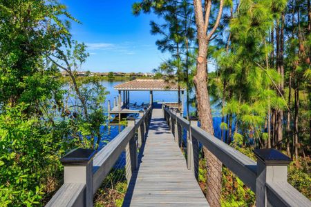 Avalon Cove by Jones Homes USA in Winter Garden - photo 23 23