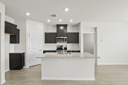 Paseos Del Este by View Homes in Horizon City - image 12