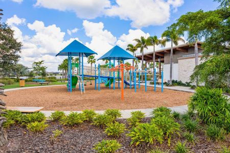 Waterset Cottage Series by David Weekley Homes in Apollo Beach - photo 13 13