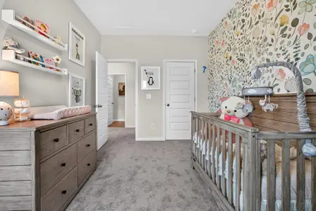 Johnson Crossing by Smith Douglas Homes in Cartersville - image 14