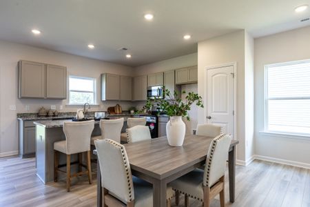 The Andros by Smith Douglas Homes in Dalton - image 16