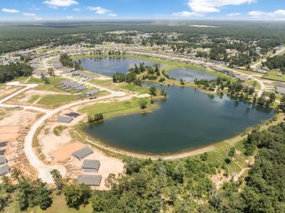 Lakes at Crockett Martin by Century Communities in Conroe - image