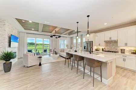 Watercolor Place Coach Homes by Medallion Home in Bradenton - image 7
