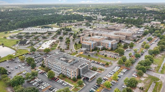 Pinewood Estates by D.R. Horton in Conway - image