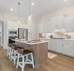 Tabor Landing by Windsong Properties in Dallas - image
