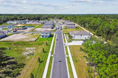 Meadow Oaks by M/I Homes in Hudson - image 12