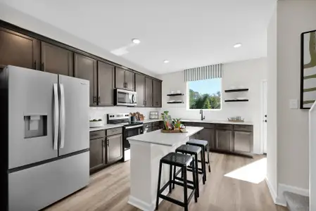 Baxley Villas by Drees Custom Homes in Middleburg - image 5