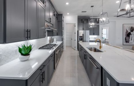 Avondale at Avenir by DiVosta in Palm Beach Gardens - image 9