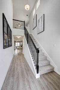 La Segarra by Smith Douglas Homes in Brookshire - image 15