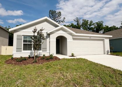 Autumn Glen by D.R. Horton in Belleview - photo 14 14