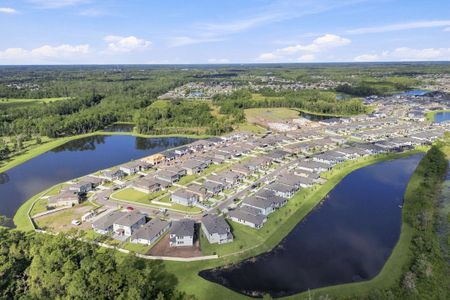 Connerton by M/I Homes in Land O' Lakes - image 14