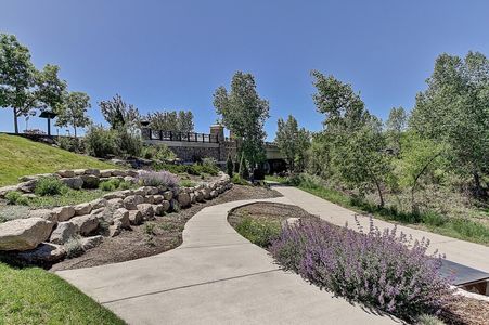 Crystal Valley Pine Ridge by D.R. Horton in Castle Rock - photo 25 25