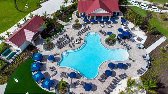 River Hall Country Club by Lennar in Alva - image 2