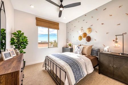 Bella Vista Farms - Master planned community in San Tan Valley, AZ 31 31