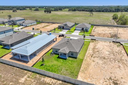 Hilltop Point by M/I Homes in Dade City - photo 10 10