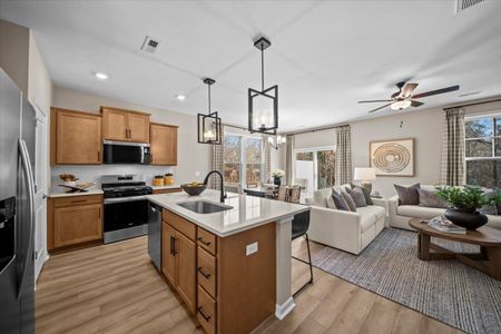Meece Townhomes by Great Southern Homes in Easley - image 15