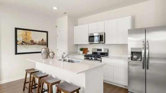 Lisenbee Fields: Cambridge 8