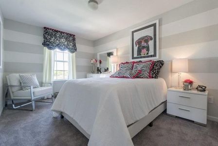 Notting Hill by CastleRock Communities in Converse - photo 34 34