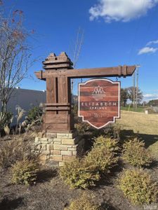 Elizabeth Springs by ExperienceOne Homes, LLC in Wake Forest - image