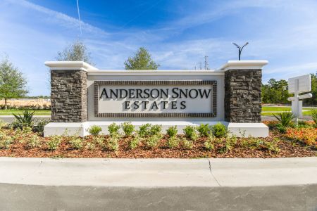 Anderson Snow Estates by M/I Homes in Spring Hill - photo 16 16