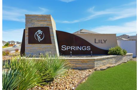 Lily Springs by Centex in Seguin - image