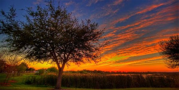 Suncrest by D.R. Horton in St. Cloud - photo 37 37