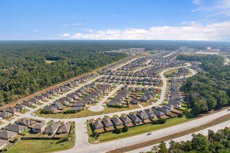 Pinewood at Grand Texas by M/I Homes in New Caney - image 14