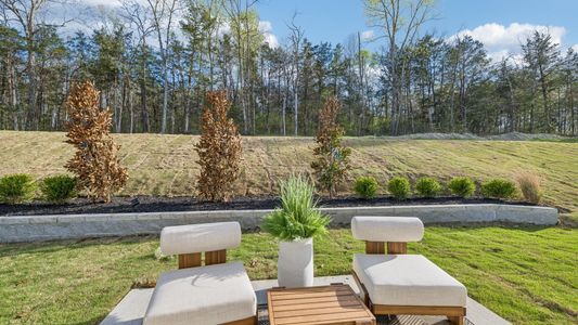 Reserve at Hickory Ridge by D.R. Horton in Columbia - image