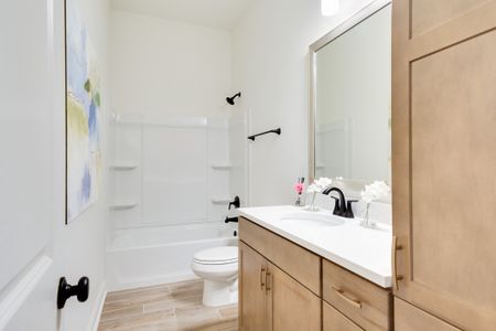 Longleaf by DSLD Homes in Lumberton - image 13