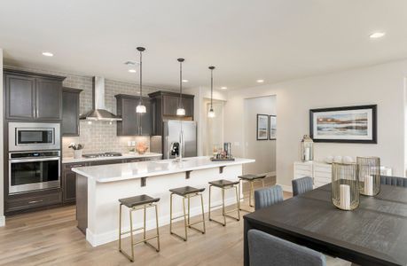 Estrella: Acacia Foothills II by Beazer Homes in Goodyear - photo 16 16