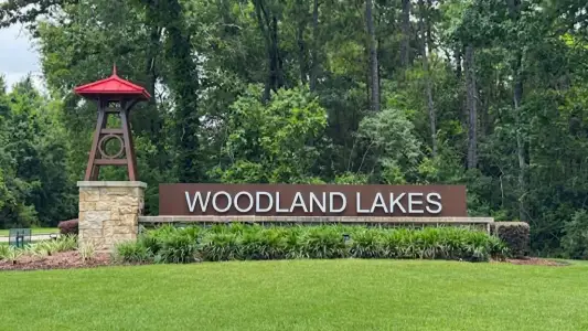 Woodland Lakes by D.R. Horton in Huffman - image