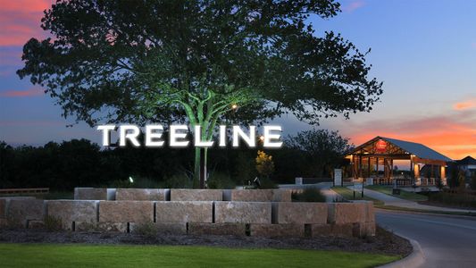 Treeline by D.R. Horton in Justin - image 4