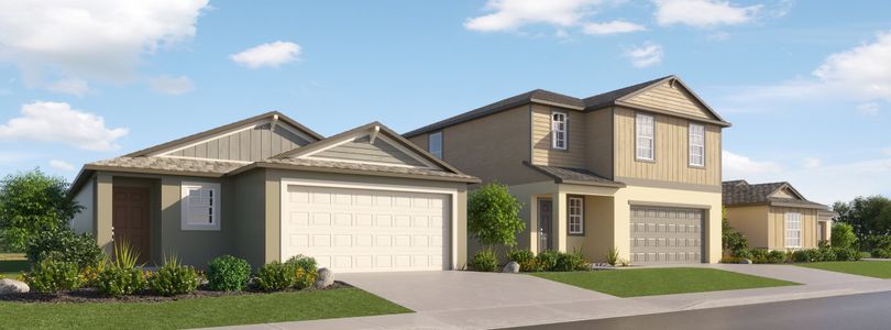 Angeline: The Manors by Lennar in Land O' Lakes - photo 0