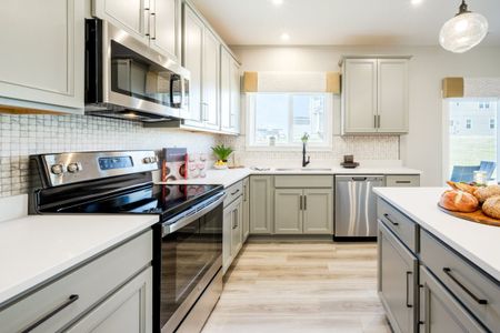 Sage Woods by Fischer Homes in Dallas - image 19