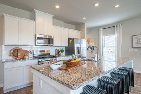 Talley Fields - The View Series by View Homes in San Antonio - photo 16 16