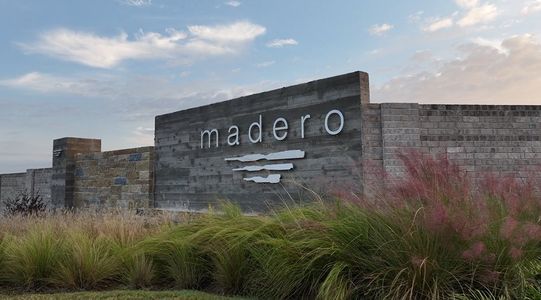 Madero 50s by Taylor Morrison in Haslet - photo 1 1