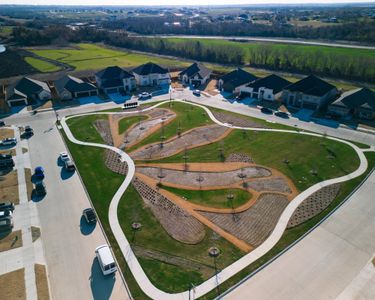Lakepointe by BLUEHAVEN Homes in Lavon - image 12