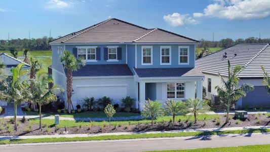 Palm Grove by Neal Communities in Lakewood Ranch - image 13