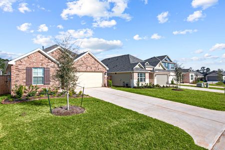 Ambrose by M/I Homes in La Marque - photo 48 48