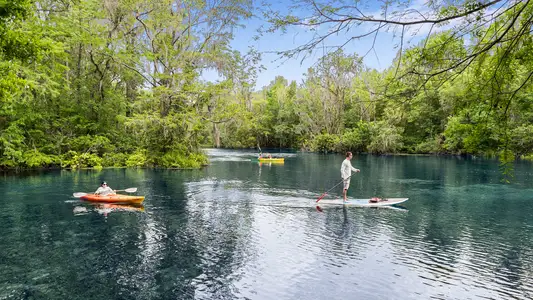 Citrus Springs by Lennar in Dunnellon - image