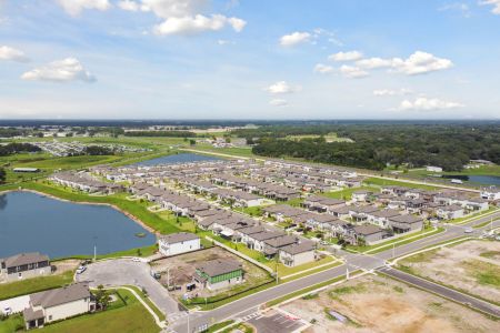 Cobblestone by M/I Homes in Zephyrhills - photo 2 2