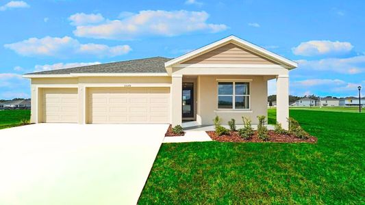 Summit View by D.R. Horton in Dade City - image