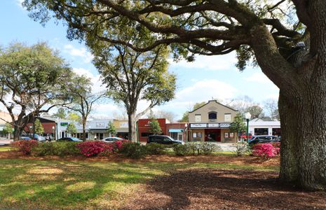 Bradford Pointe by Centex in Summerville - photo 17 17